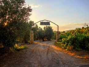 Las Paratas del Faz, Fiñana
